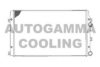 AUTOGAMMA 103565 Radiator, engine cooling